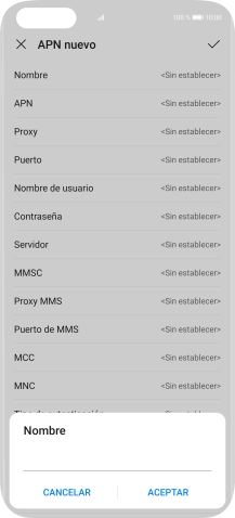 Introduce Vodafone Internet y pulsa ACEPTAR.