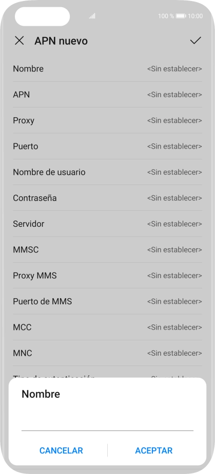 Introduce Vodafone Internet y pulsa ACEPTAR.