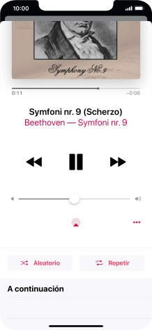 Pulsa Aleatorio para activar o desactivar la función.