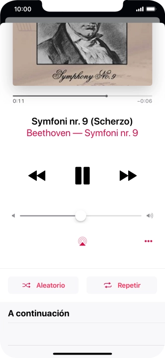 Pulsa Aleatorio para activar o desactivar la función.