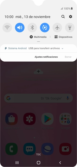 Pulsa Sistema Android.