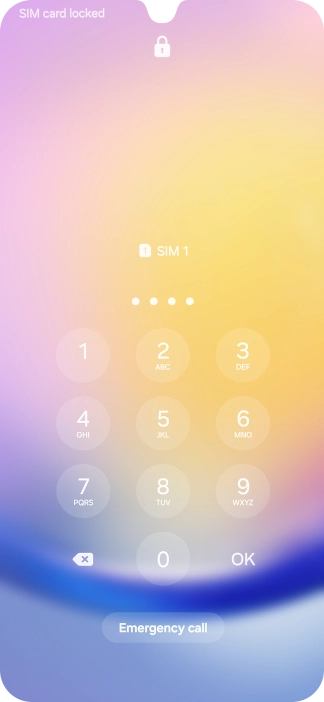 Si es necesario desbloquear la tarjeta SIM, introduce el código PIN y pulsa OK.