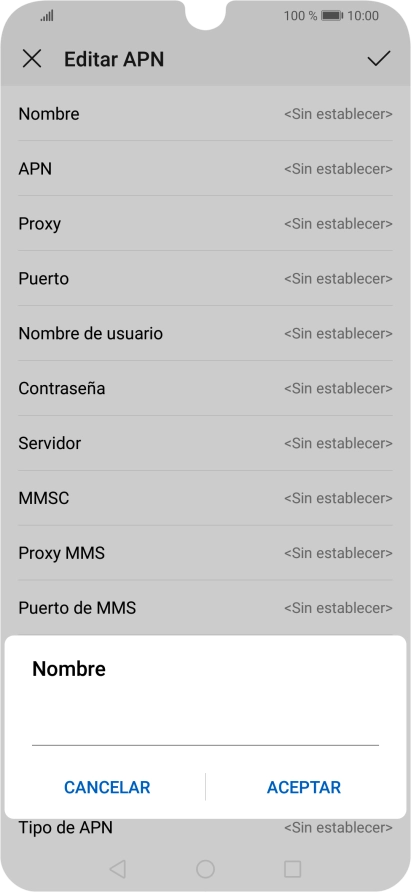 Introduce Vodafone Internet y pulsa ACEPTAR.