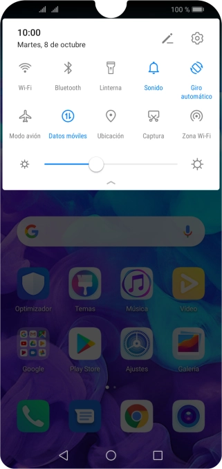 Pulsa Datos móviles para activar o desactivar la función.