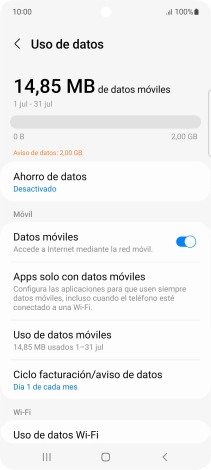 El consumo total de datos se visualiza ahora en la pantalla.