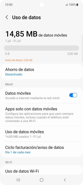 El consumo total de datos se visualiza ahora en la pantalla.