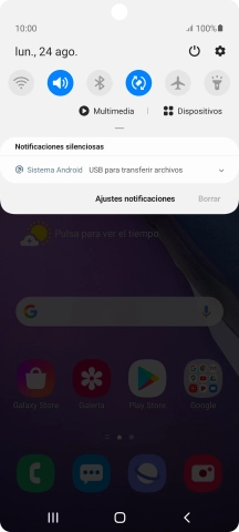 Pulsa Sistema Android.