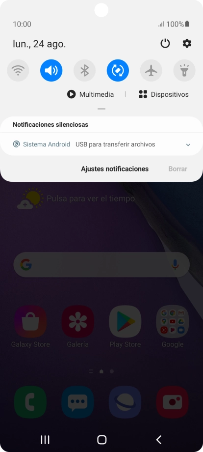 Pulsa Sistema Android.