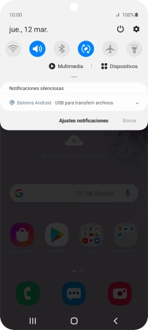 Pulsa Sistema Android.