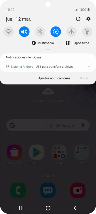 Pulsa Sistema Android.