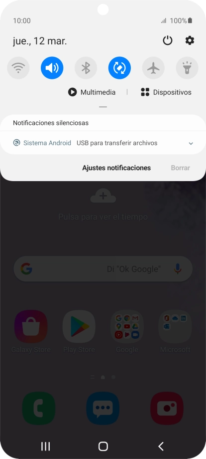 Pulsa Sistema Android.