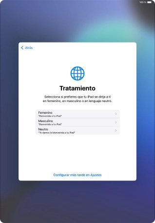 Sigue las indicaciones de la pantalla para elegir la forma de tratamiento deseada en la tablet, es decir, el masculino, el femenino o una forma de tratamiento neutra o pulsa Configurar más tarde en Ajustes.