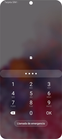 Si lo solicita el teléfono, introduce el código PIN y pulsa OK.