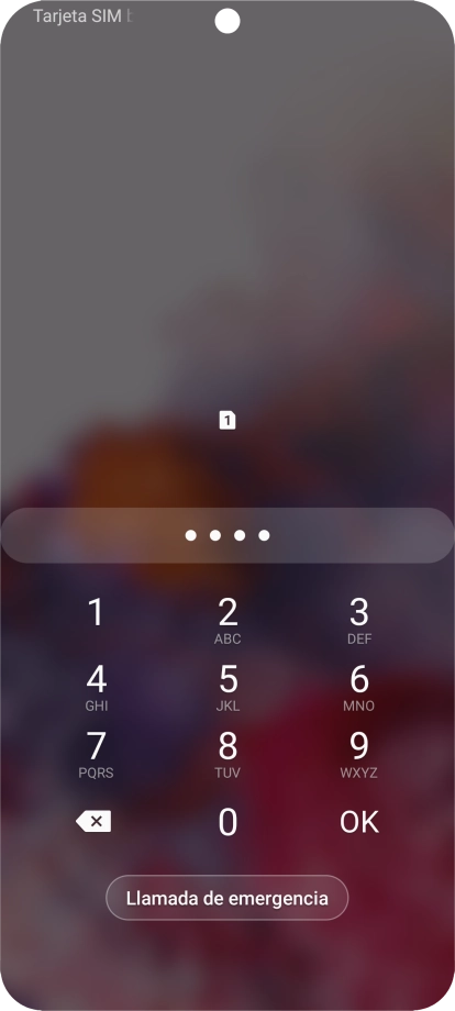Si lo solicita el teléfono, introduce el código PIN y pulsa OK.