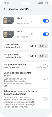 Pulsa el indicador junto a la tarjeta SIM deseada para activar o desactivar su uso.