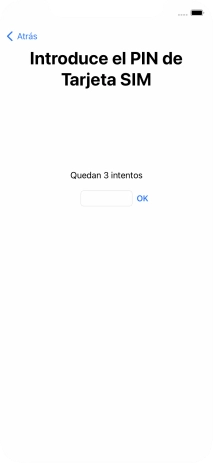 Si es necesario desbloquear la tarjeta SIM, introduce el código PIN y pulsa OK.