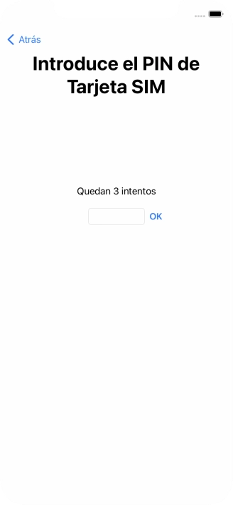 Si es necesario desbloquear la tarjeta SIM, introduce el código PIN y pulsa OK.