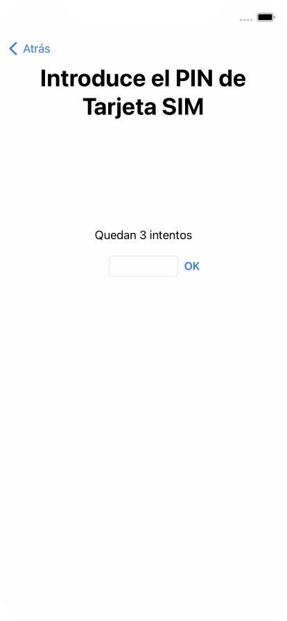 Si es necesario desbloquear la tarjeta SIM, introduce el código PIN y pulsa OK.