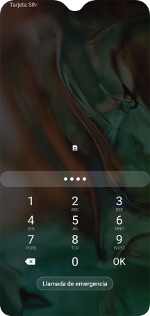 Si lo solicita el teléfono, introduce el código PIN y pulsa OK.