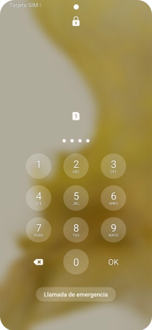 Si lo solicita el teléfono, introduce el código PIN y pulsa OK.