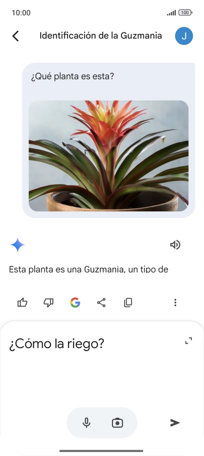 Sigue las indicaciones de la pantalla para escribir o decir en alto más preguntas y continuar la conversación.