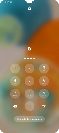 Si es necesario desbloquear la tarjeta SIM, introduce el código PIN y pulsa OK.