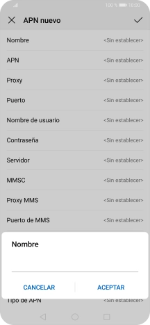 Introduce Vodafone Internet y pulsa ACEPTAR.