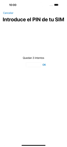 Si es necesario desbloquear la tarjeta SIM, introduce el código PIN y pulsa OK.