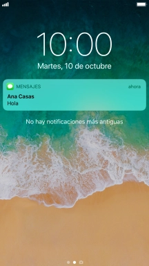 Pulsa la notificación deseada y sigue las indicaciones de la pantalla para utilizar la función seleccionada.