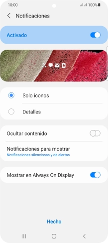 Pulsa  el indicador junto a los ajustes deseados para activarlos o desactivarlos.