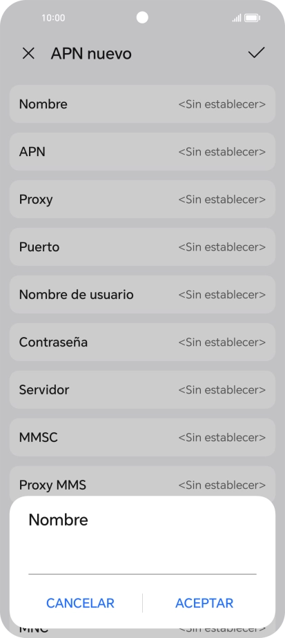 Introduce Vodafone Internet y pulsa ACEPTAR.