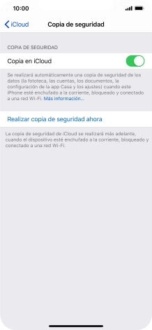 Pulsa Realizar copia de seguridad ahora y espera mientras se hace una copia de seguridad del contenido de la memoria del teléfono.