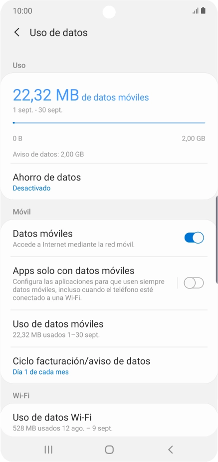 El consumo total de datos se visualiza ahora en la pantalla.