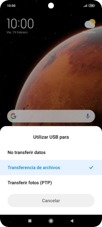 Pulsa Transferencia de archivos.