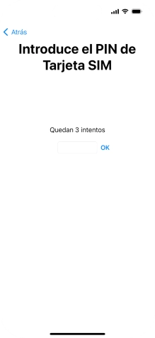 Si es necesario desbloquear la tarjeta SIM, introduce el código PIN y pulsa OK.