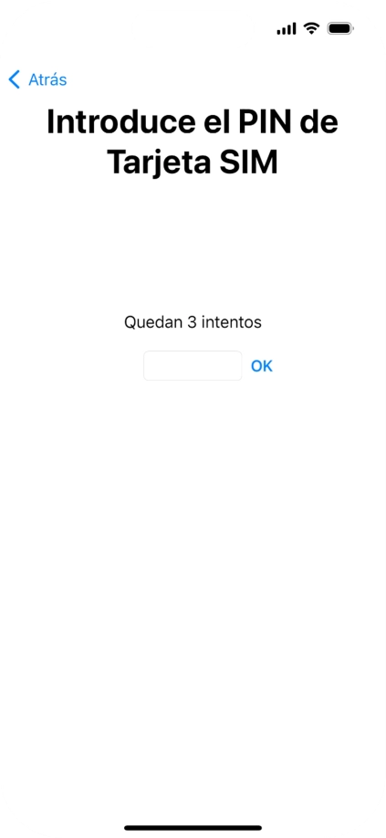 Si es necesario desbloquear la tarjeta SIM, introduce el código PIN y pulsa OK.
