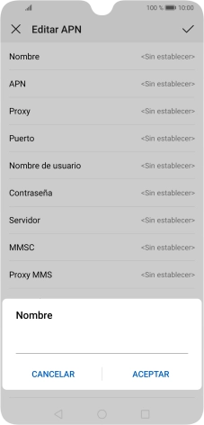 Introduce Vodafone Internet y pulsa ACEPTAR.