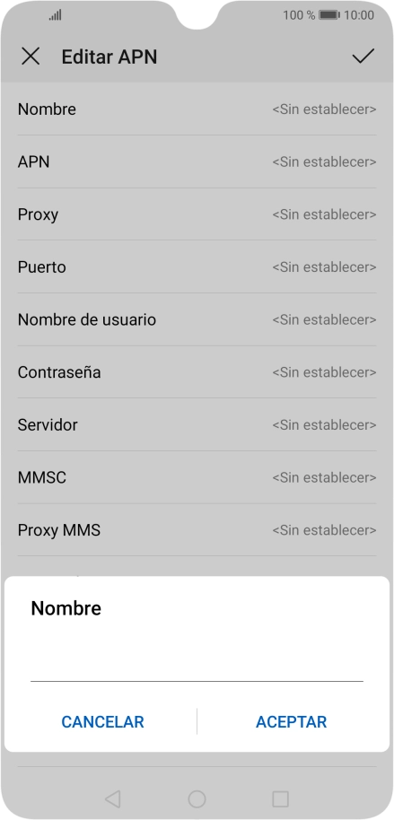 Introduce Vodafone Internet y pulsa ACEPTAR.