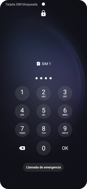Si es necesario desbloquear la tarjeta SIM, introduce el código PIN y pulsa OK.