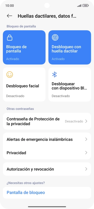Pulsa Bloqueo de pantalla.
