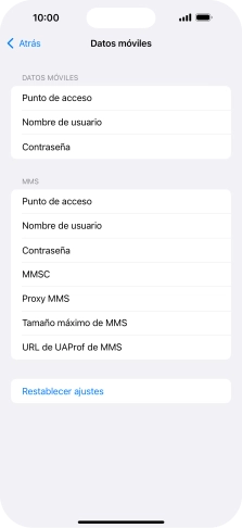 Pulsa Punto de acceso e introduce airtelwap.es.