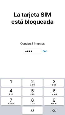 Si es necesario desbloquear la tarjeta SIM, introduce el código PIN y pulsa OK.