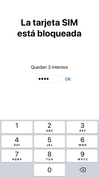 Si es necesario desbloquear la tarjeta SIM, introduce el código PIN y pulsa OK.