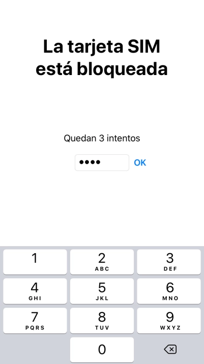 Si es necesario desbloquear la tarjeta SIM, introduce el código PIN y pulsa OK.