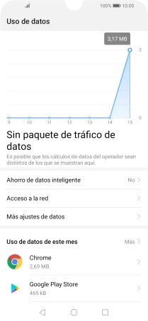 El consumo total de datos se visualiza ahora en la pantalla.