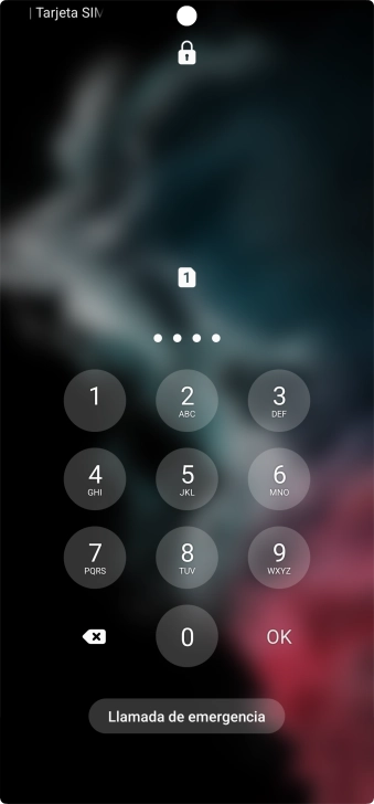 Si lo solicita el teléfono, introduce el código PIN y pulsa OK.