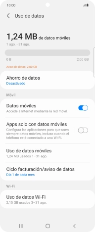 El consumo total de datos se visualiza ahora en la pantalla.