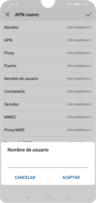 Introduce wap@wap y pulsa ACEPTAR.