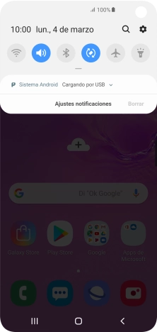 Pulsa Sistema Android.