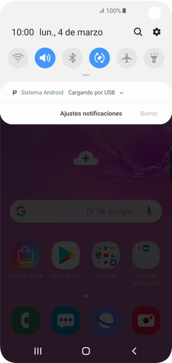 Pulsa Sistema Android.